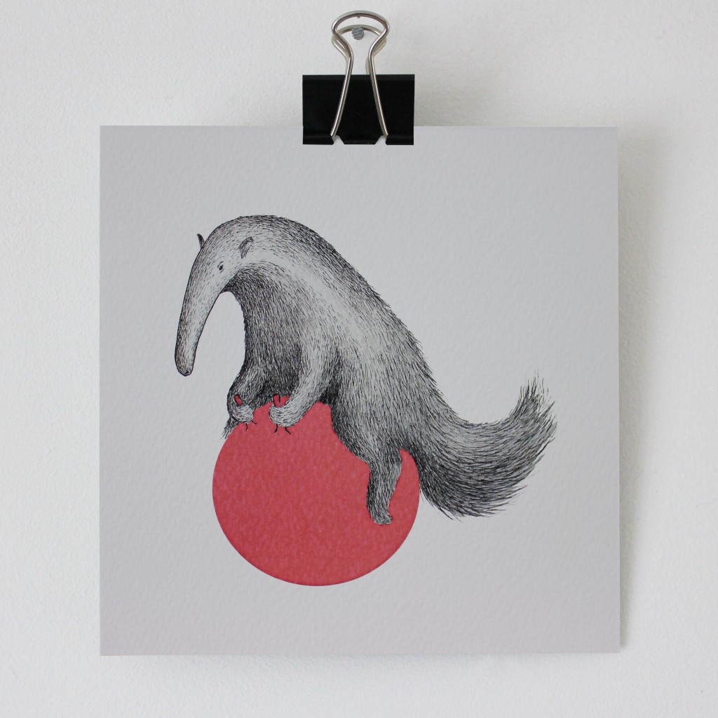 anteater – for website